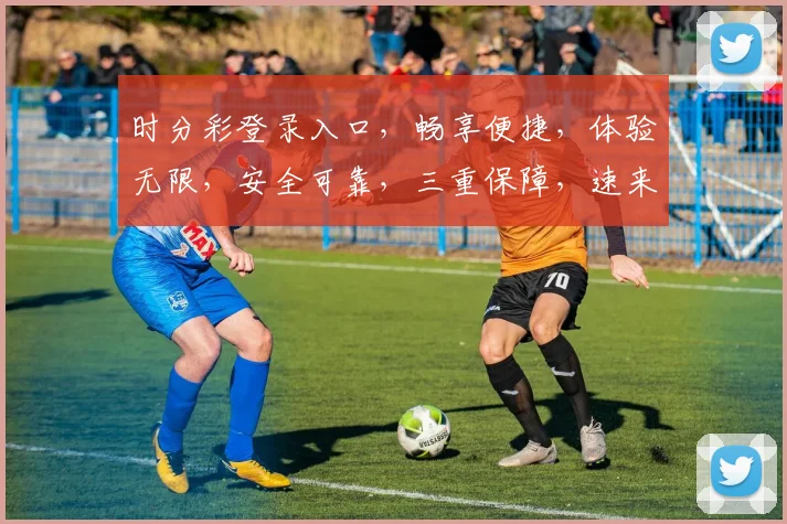 时分彩登录入口，畅享便捷，体验无限，安全可靠，三重保障，速来体验