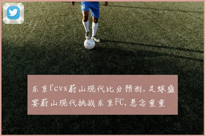 东京fcvs蔚山现代比分预测,足球盛宴蔚山现代挑战东京FC,悬念重重